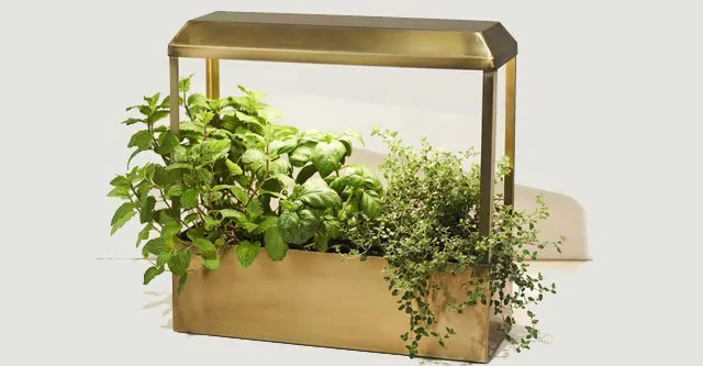 The-Modern-Sprout-Growhouse