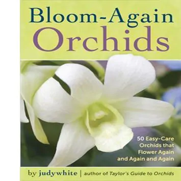BLOOM-–-AGAIN-ORCHIDS-by-Judywhite