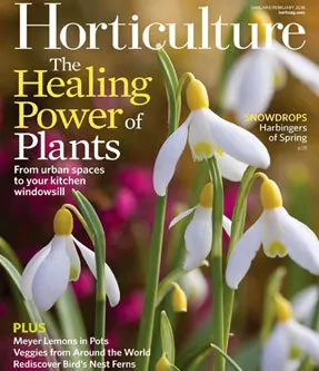 Horticulture-magazine