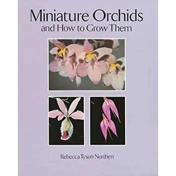 MINIATURE ORCHIDS AND HOW TO GROW THEM by Rebecca Tyson Northern