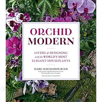 ORCHID MODERN by Marc Hachadourian