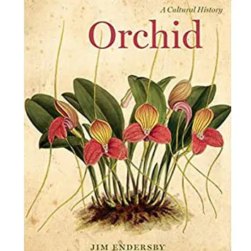 ORCHID by Jim Endersby