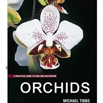 ORCHIDS by Mike Tibbs