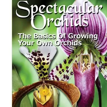 SPECTACULAR ORCHIDS by Gene Ashburner