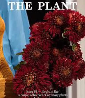The Plant magazine
